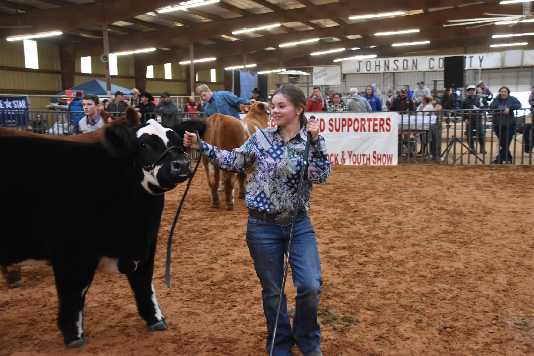 Mikala Grady livestock show